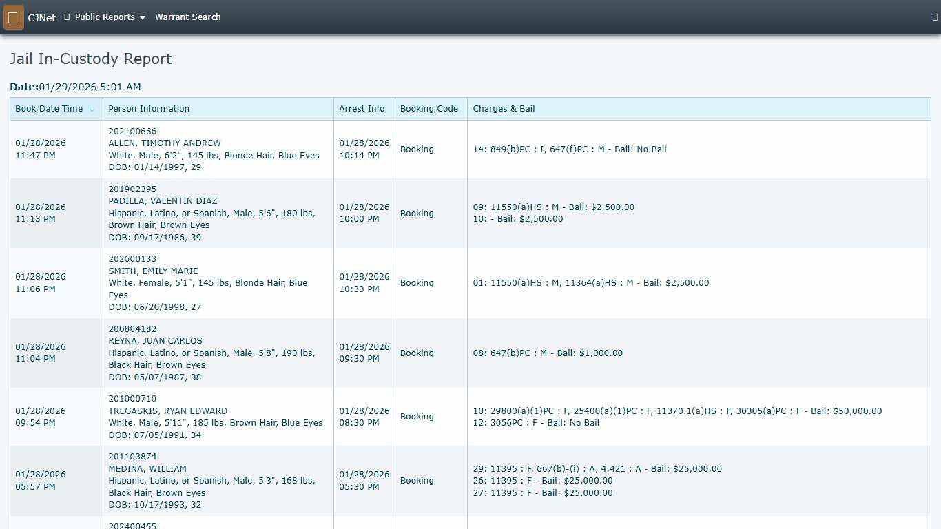 Jail In-Custody Report CJNet